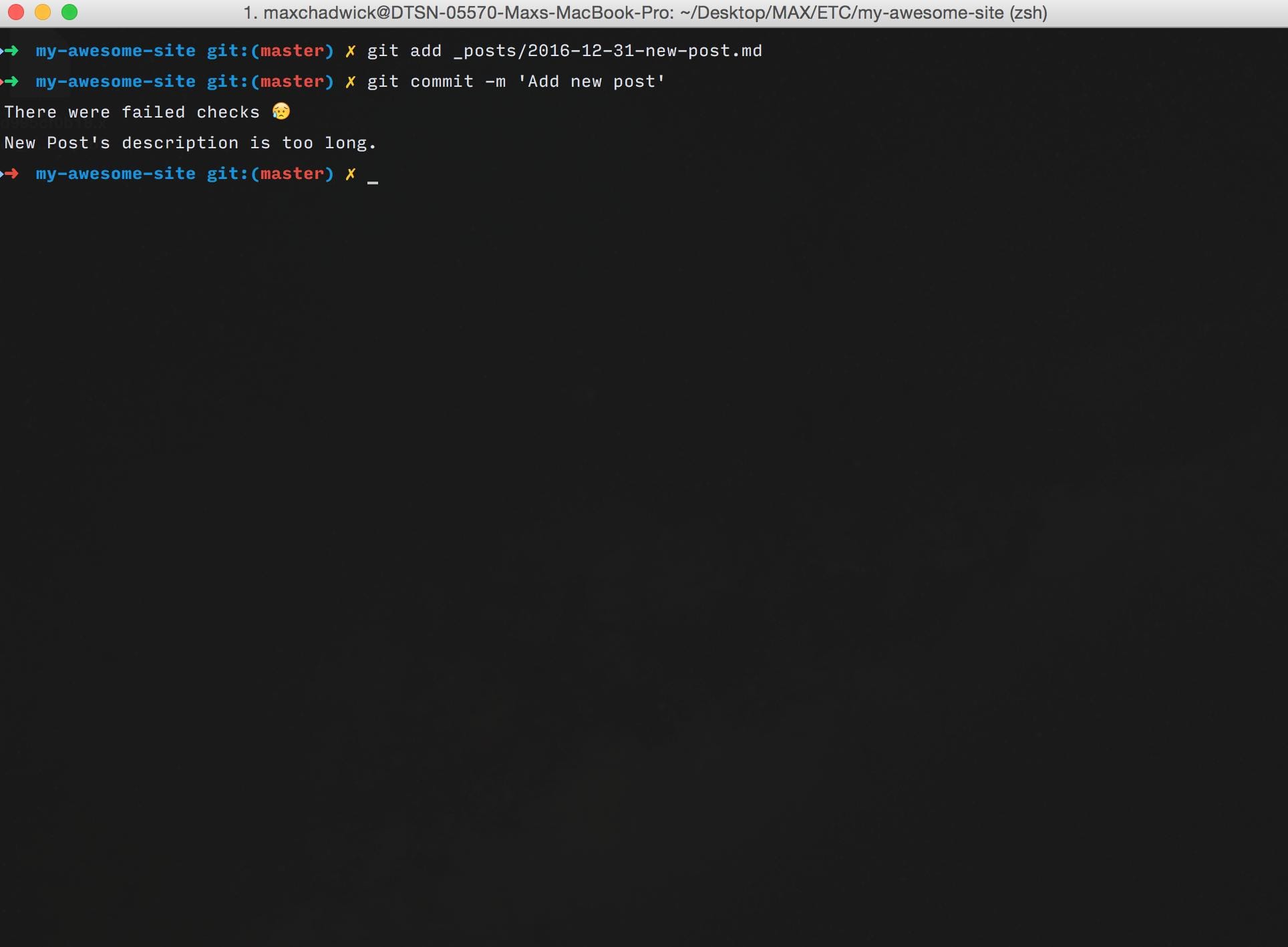 A screenshot of a terminal while using jekyll-pre-commit